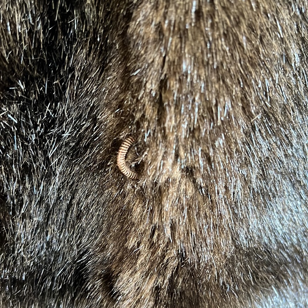 Long faux fur coat faux mink dark brown fits size large very soft and elegant - Picture 5 of 10